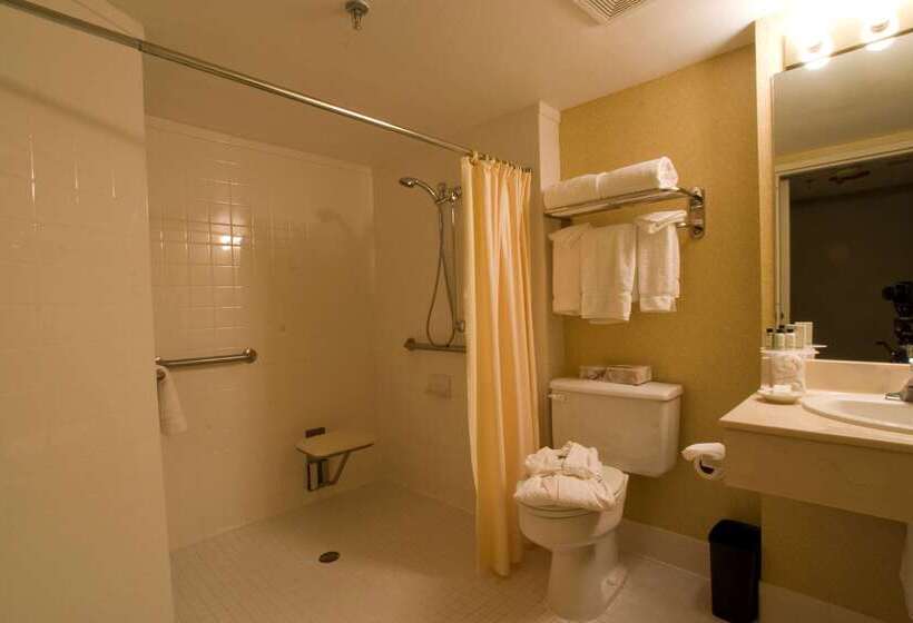 Doubletree Suites By Hilton Hotel Mcallen