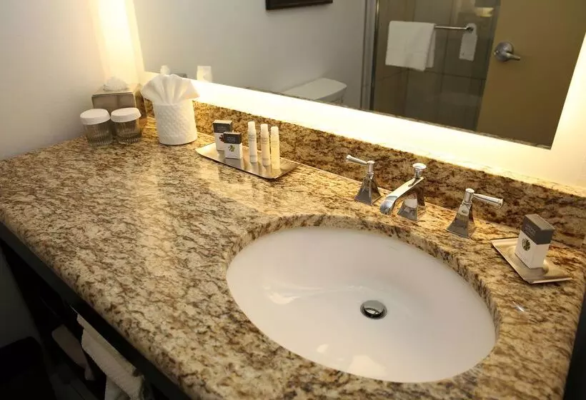 Doubletree Suites By Hilton Hotel Mcallen