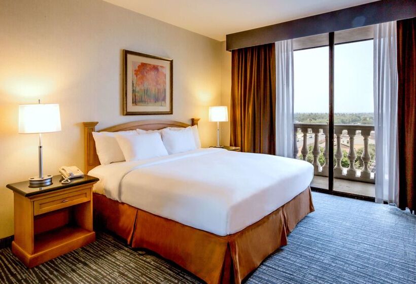 Doubletree Suites By Hilton Hotel Mcallen