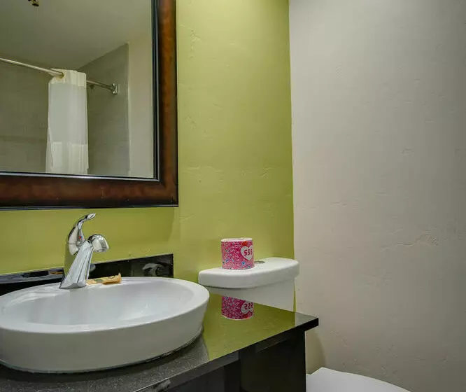 호텔 Vagabond Inn Executive Bakersfield Downtowner