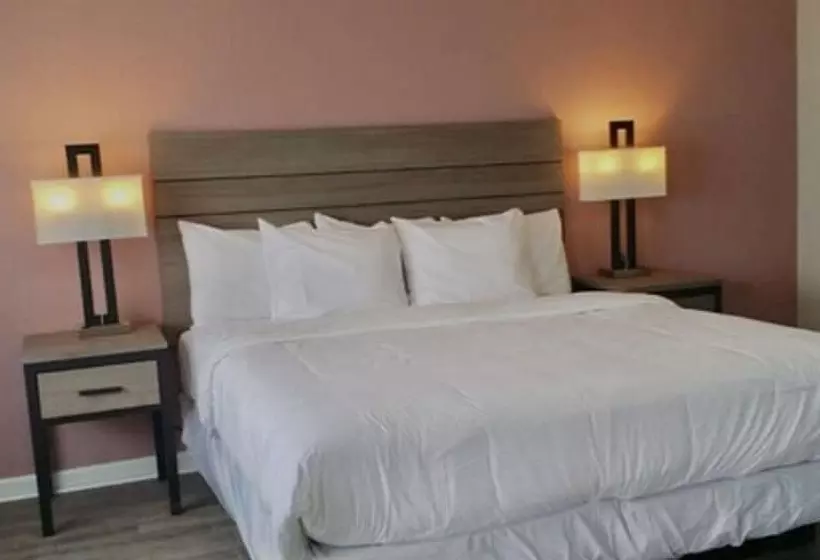 فندق Econo Lodge Inn & Suites