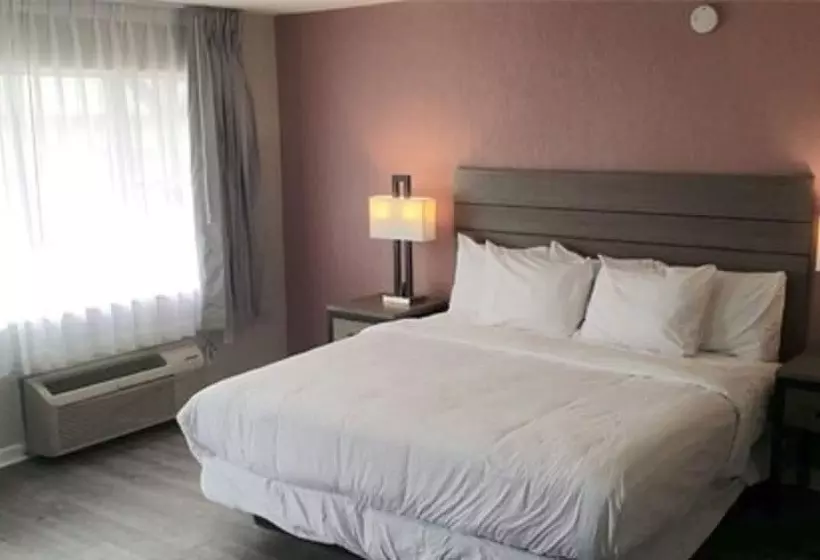 فندق Econo Lodge Inn & Suites