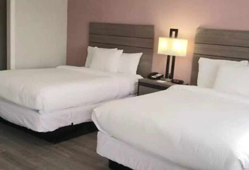 فندق Econo Lodge Inn & Suites