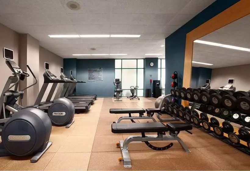 Отель Embassy Suites By Hilton Chicago Lombard Oak Brook