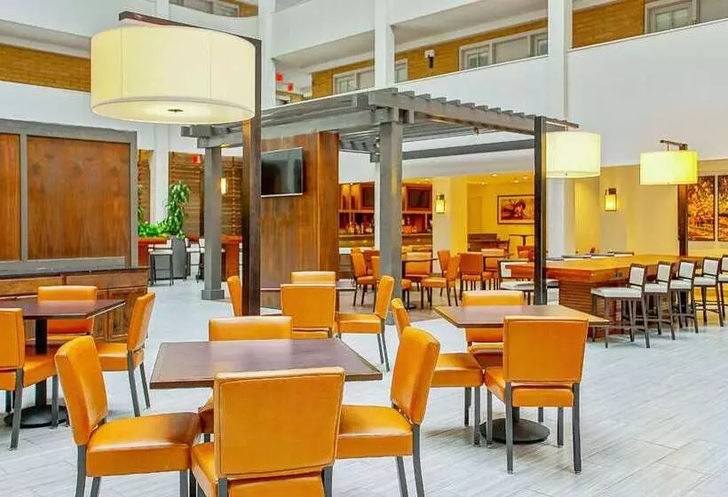 ホテル Embassy Suites By Hilton San Antonio Nw I10