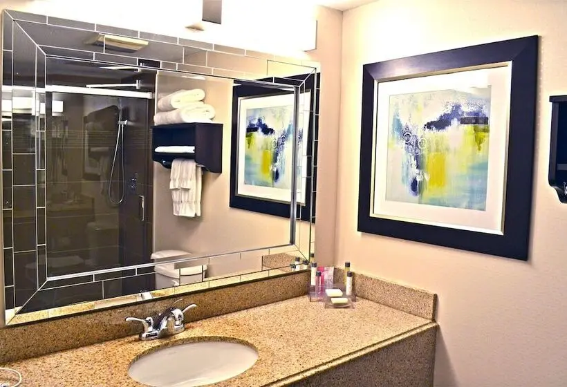 ホテル Holiday Inn & Suites Syracuse Airport   Liverpool, An Ihg