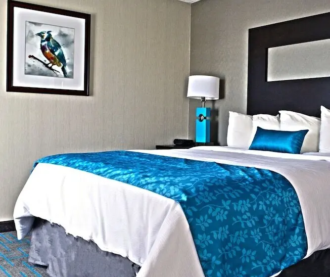 ホテル Holiday Inn & Suites Syracuse Airport   Liverpool, An Ihg