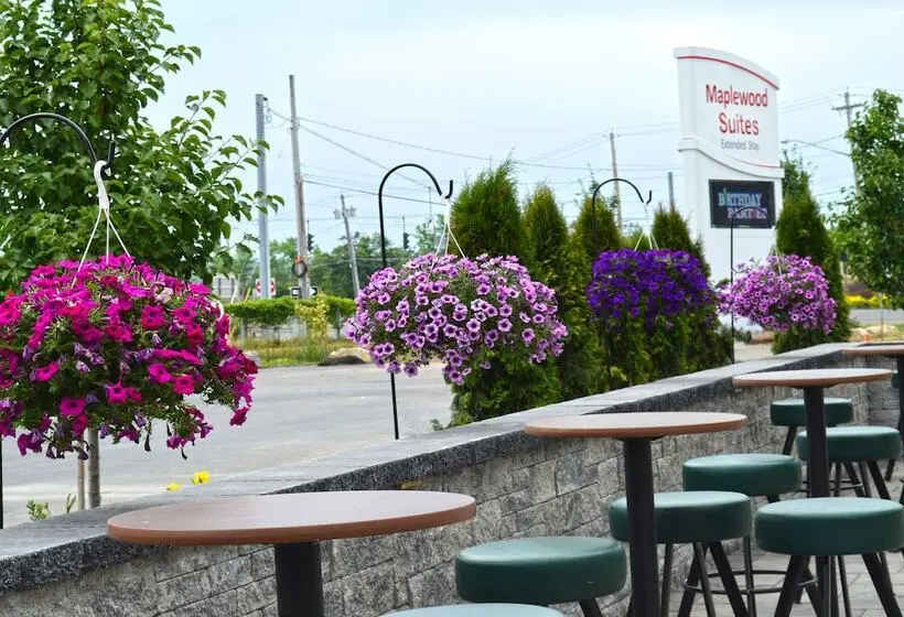 ホテル Holiday Inn & Suites Syracuse Airport   Liverpool, An Ihg