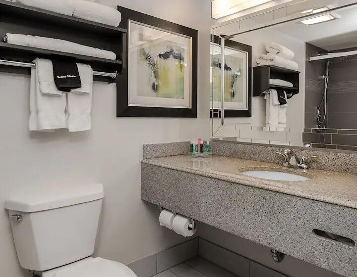 ホテル Holiday Inn & Suites Syracuse Airport   Liverpool, An Ihg