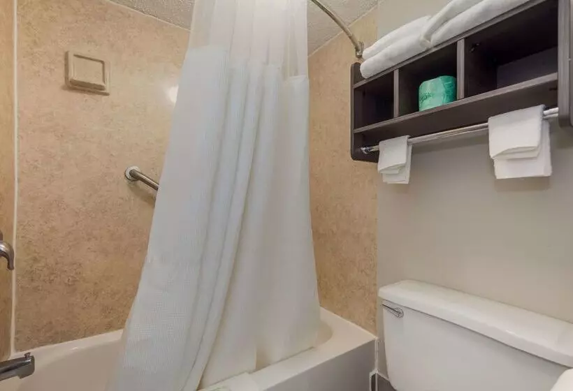 ホテル Quality Inn Charleston  West Ashley
