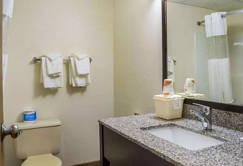 Otel Quality Inn & Suites Clackamas   Portland