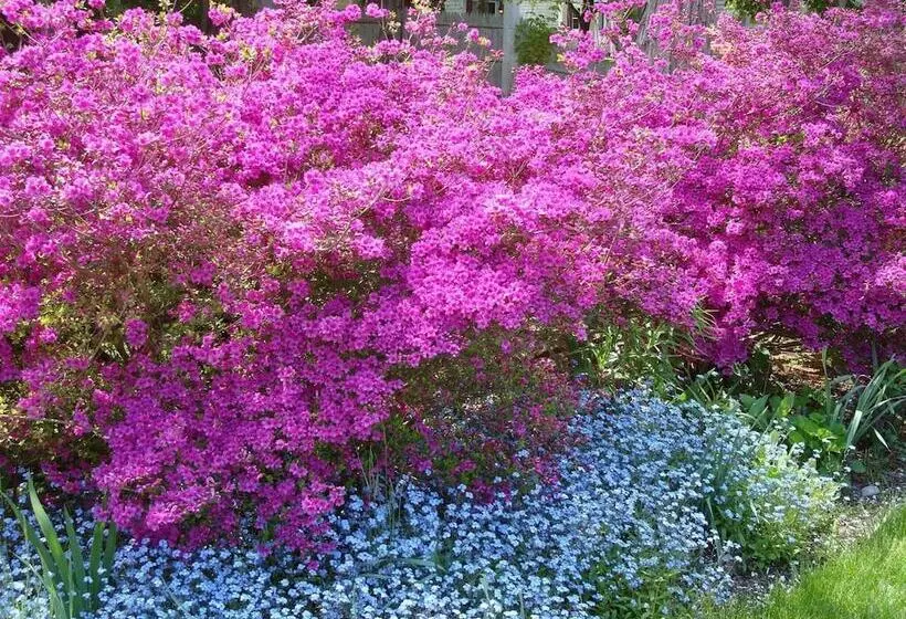 The Earl Of Sandwich Motel