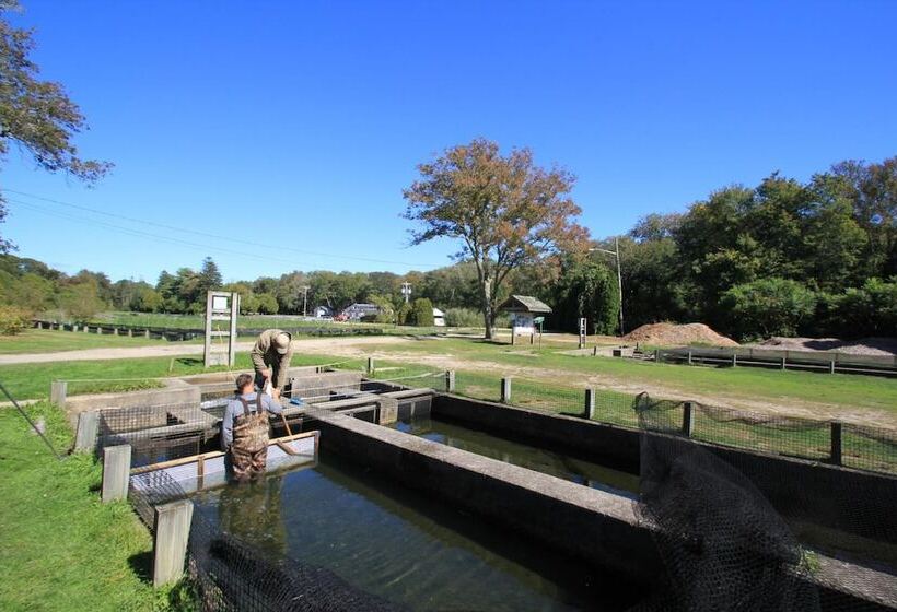 The Earl Of Sandwich Motel