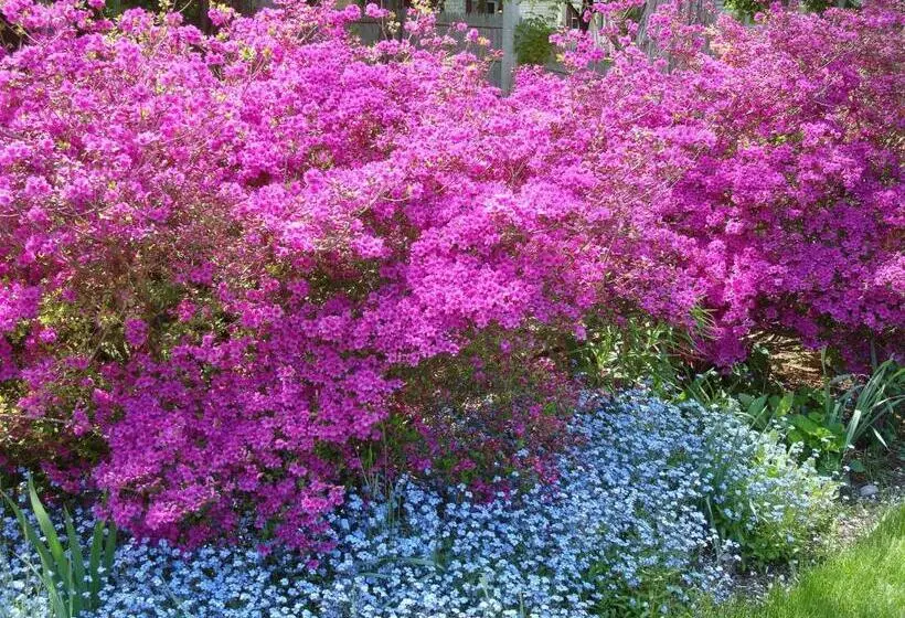 The Earl Of Sandwich Motel