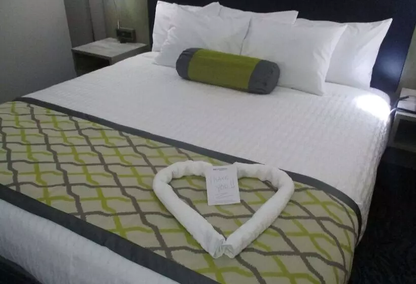 בית מלון כפרי Best Western Plus Bloomington East