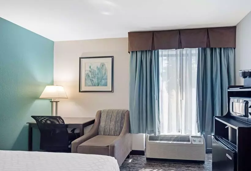 فندق Best Western Plus Chicagoland Countryside