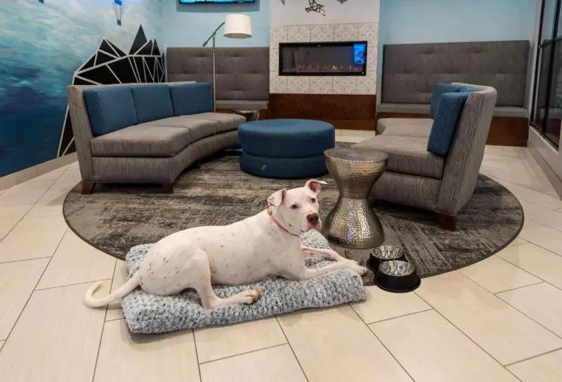 فندق Best Western Plus Wausau Tower Inn