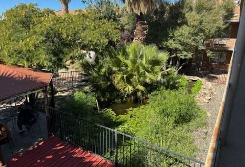 هتل Big Chile Inn & Suites