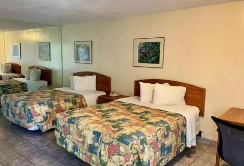 ホテル Big Chile Inn & Suites