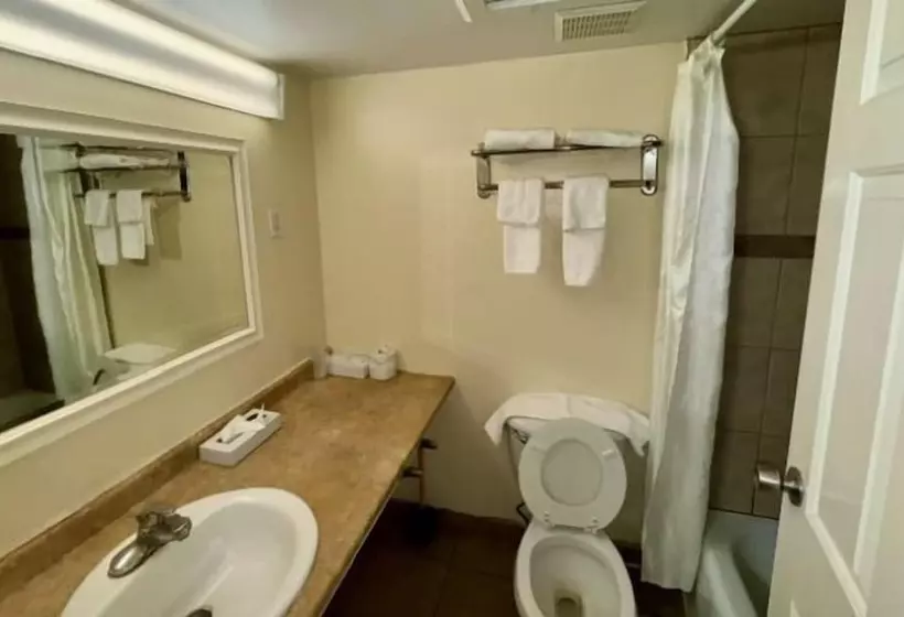 ホテル Big Chile Inn & Suites