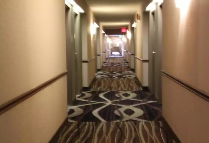 Hotelli Clarion Inn  Airport University