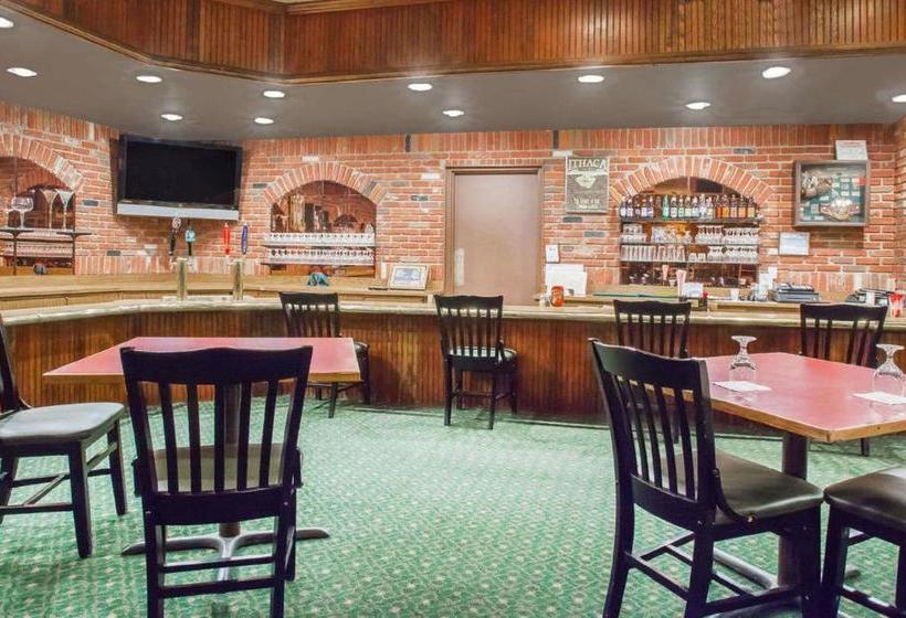 Otel Clarion Inn Airport University