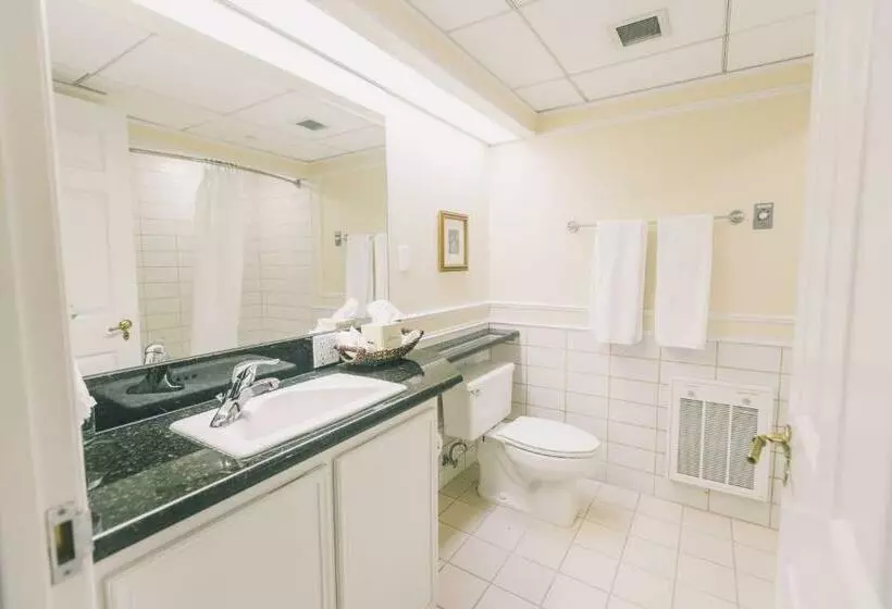 هتل Governors Inn