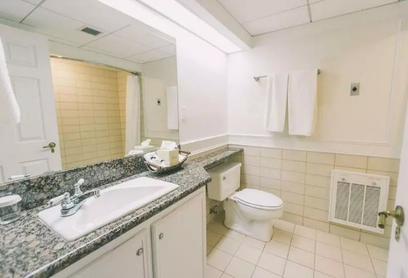 هتل Governors Inn