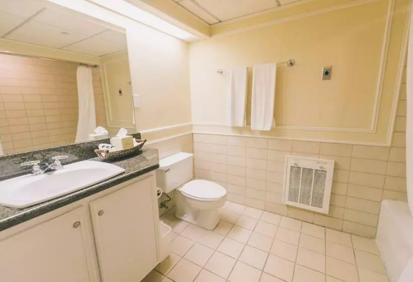 هتل Governors Inn