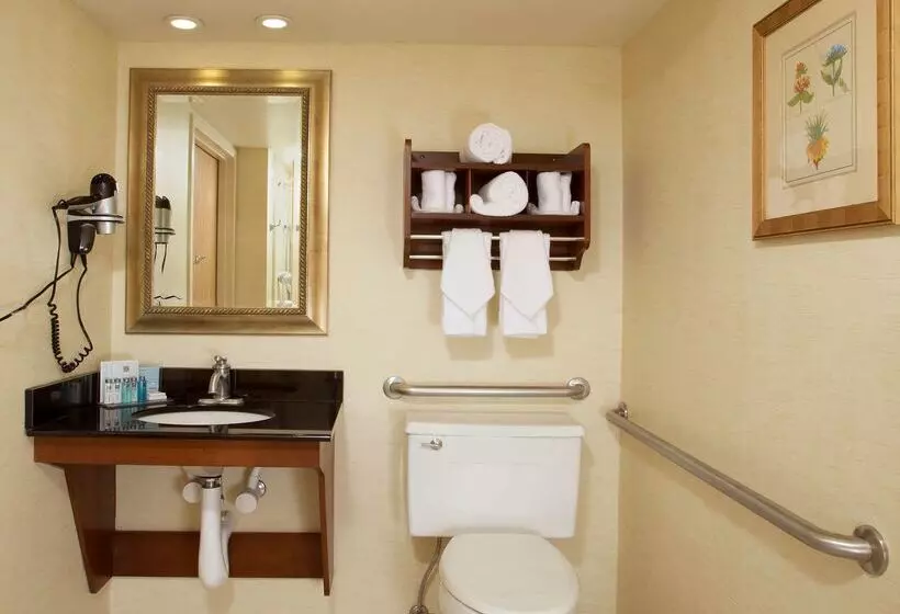 Szálloda Hampton Inn Alexandria/pentagon South