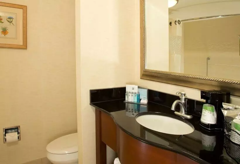 Szálloda Hampton Inn Alexandria/pentagon South