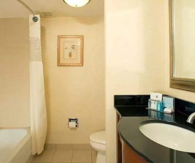 Szálloda Hampton Inn Alexandria/pentagon South