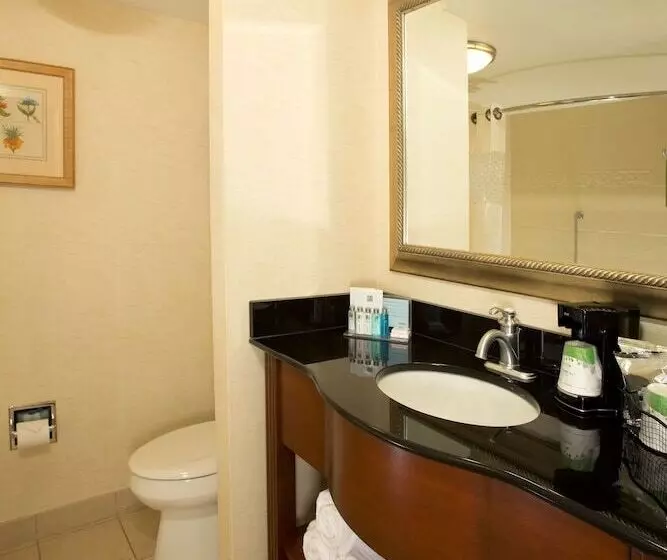 Szálloda Hampton Inn Alexandria/pentagon South