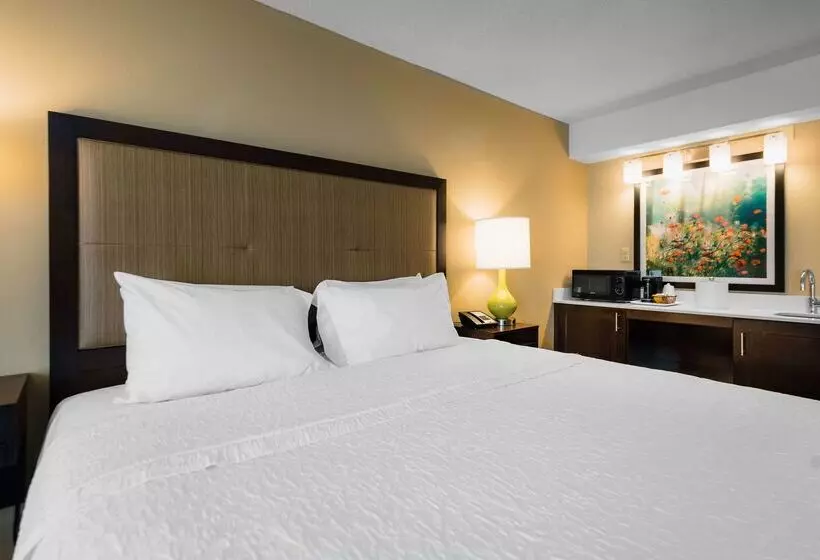 فندق Hampton Inn Meridian