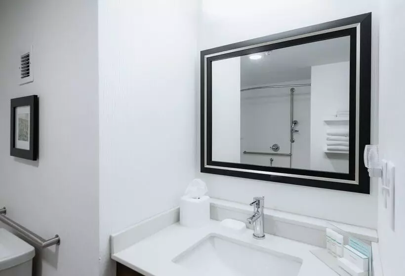 فندق Hampton Inn Meridian