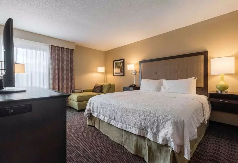 فندق Hampton Inn Meridian