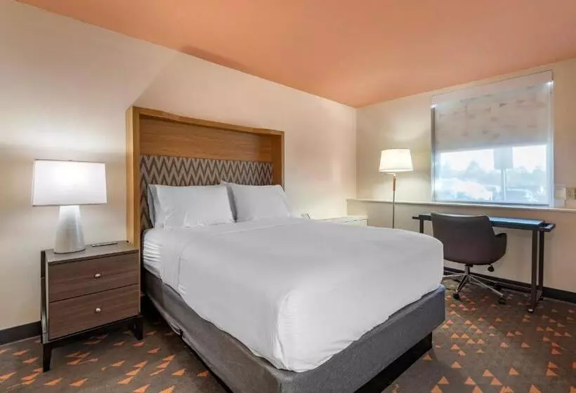 فندق Holiday Inn Bangor, An Ihg