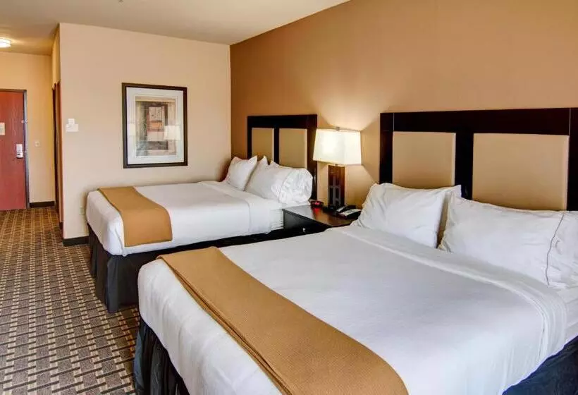 Holiday Inn Express Hotel & Suites Paris, An Ihg