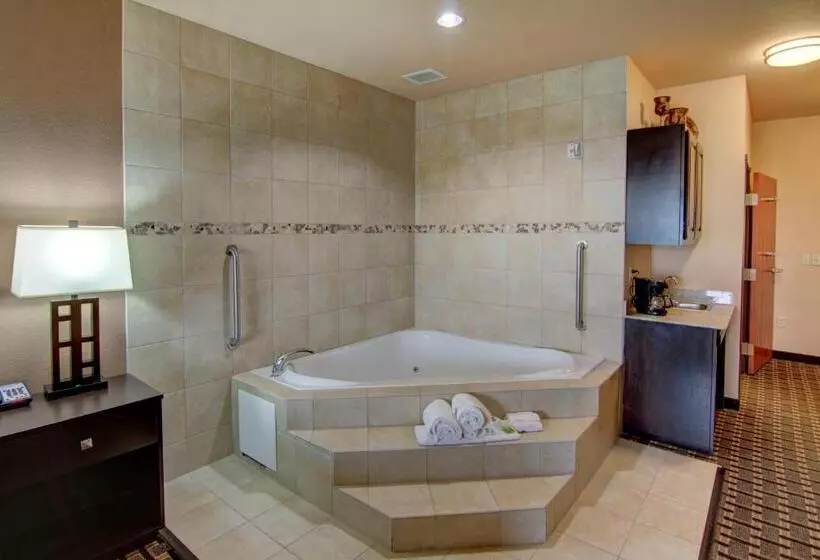 Holiday Inn Express Hotel & Suites Paris, An Ihg