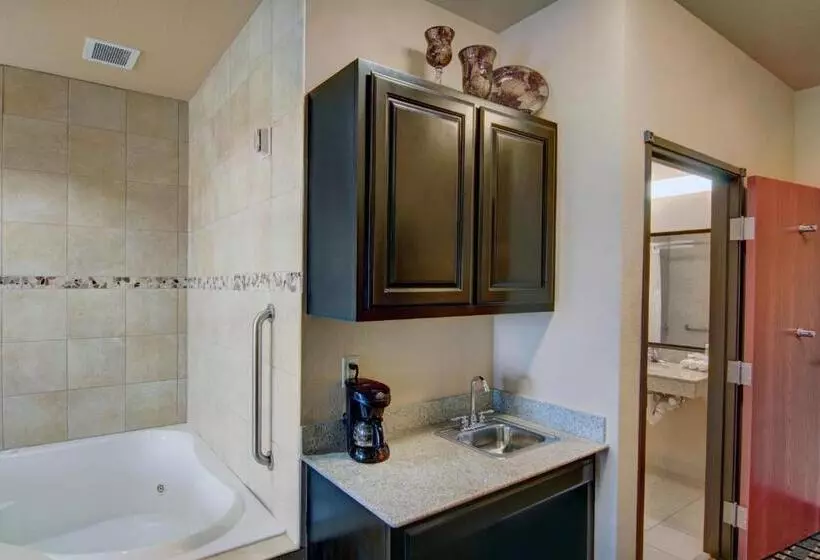 Holiday Inn Express Hotel & Suites Paris, An Ihg