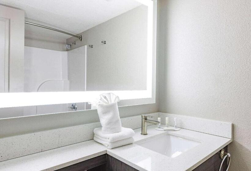 فندق Wingate By Wyndham Wichita Airport