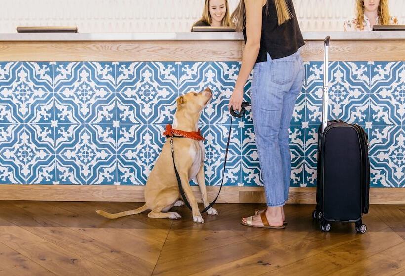 Отель Adeline, Scottsdale, A Tribute Portfolio