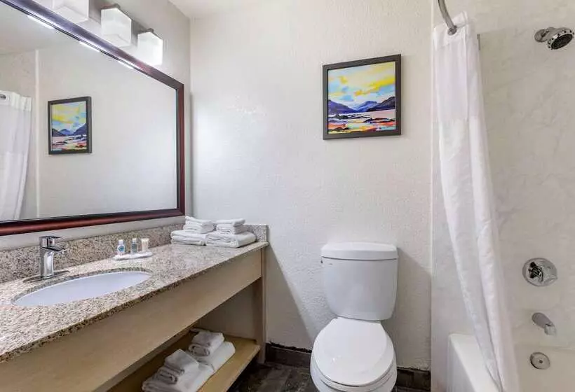 ホテル Comfort Inn San Diego Miramar