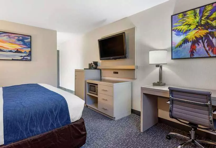 ホテル Comfort Inn San Diego Miramar