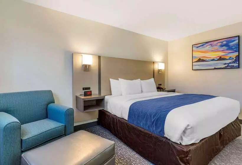 ホテル Comfort Inn San Diego Miramar