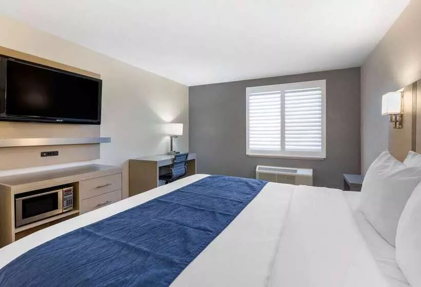 ホテル Comfort Inn San Diego Miramar