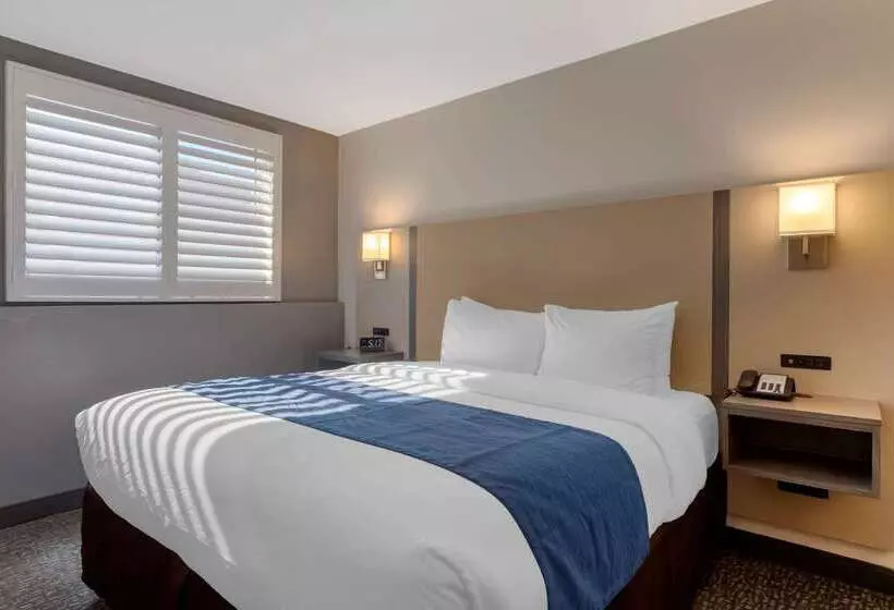 ホテル Comfort Inn San Diego Miramar