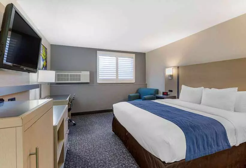 ホテル Comfort Inn San Diego Miramar