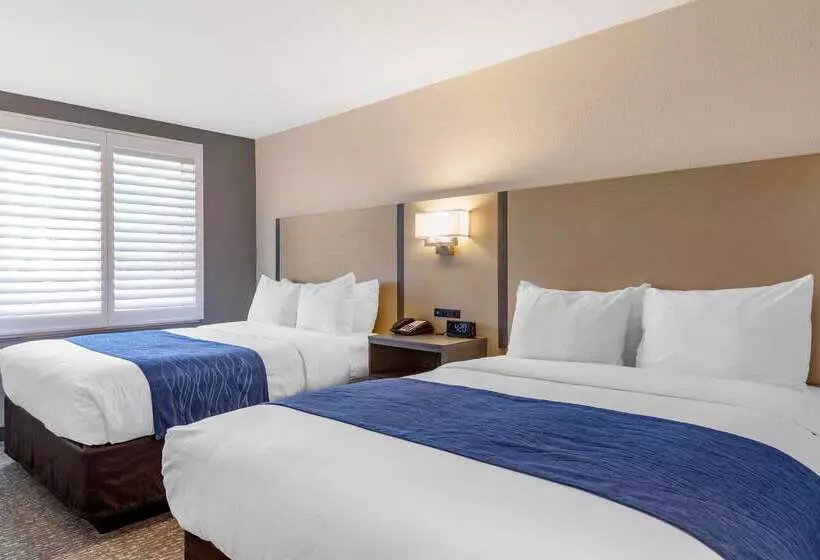 ホテル Comfort Inn San Diego Miramar