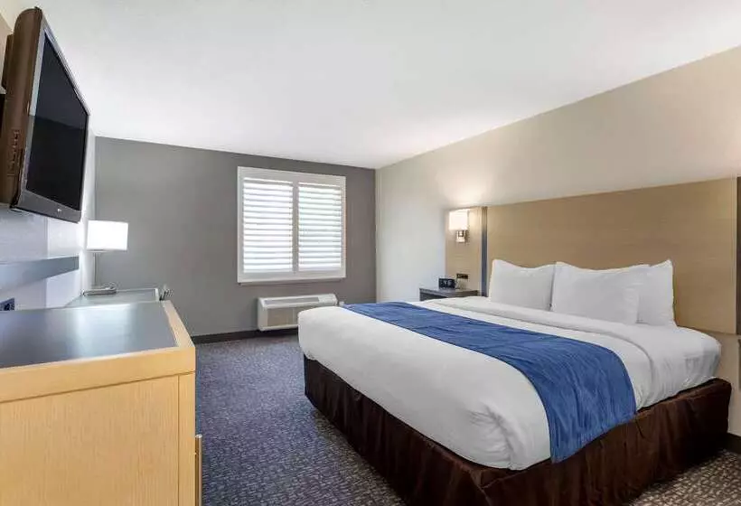 ホテル Comfort Inn San Diego Miramar